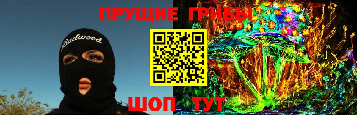 Псилоцибиновые грибы прущие грибы  Вход с VPN  Спасск-Дальний  Галлюциногенные грибы GOLDEN TEACHER 